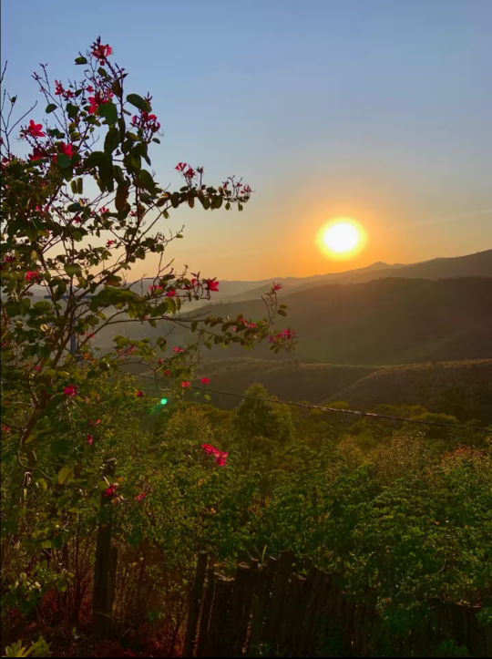 Foto do Sítio 1
